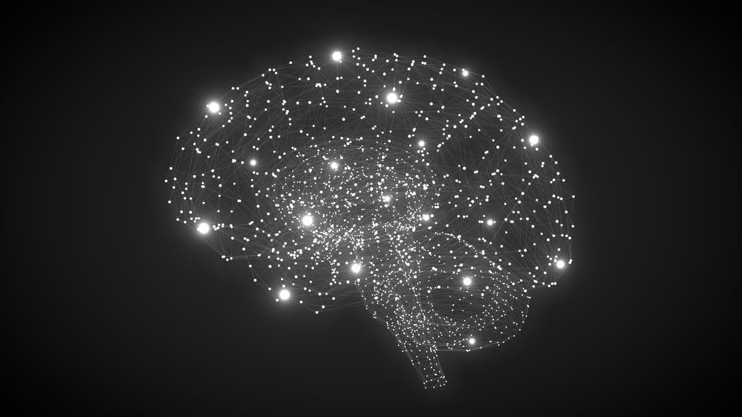 Measuring Impact: How Neuroeducational Approaches Effect Cognition